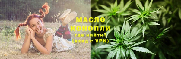 бошки Бородино